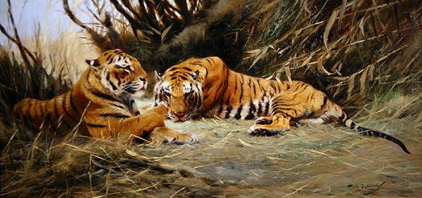 Tigres sibériens - Wilhelm Kuhnert
