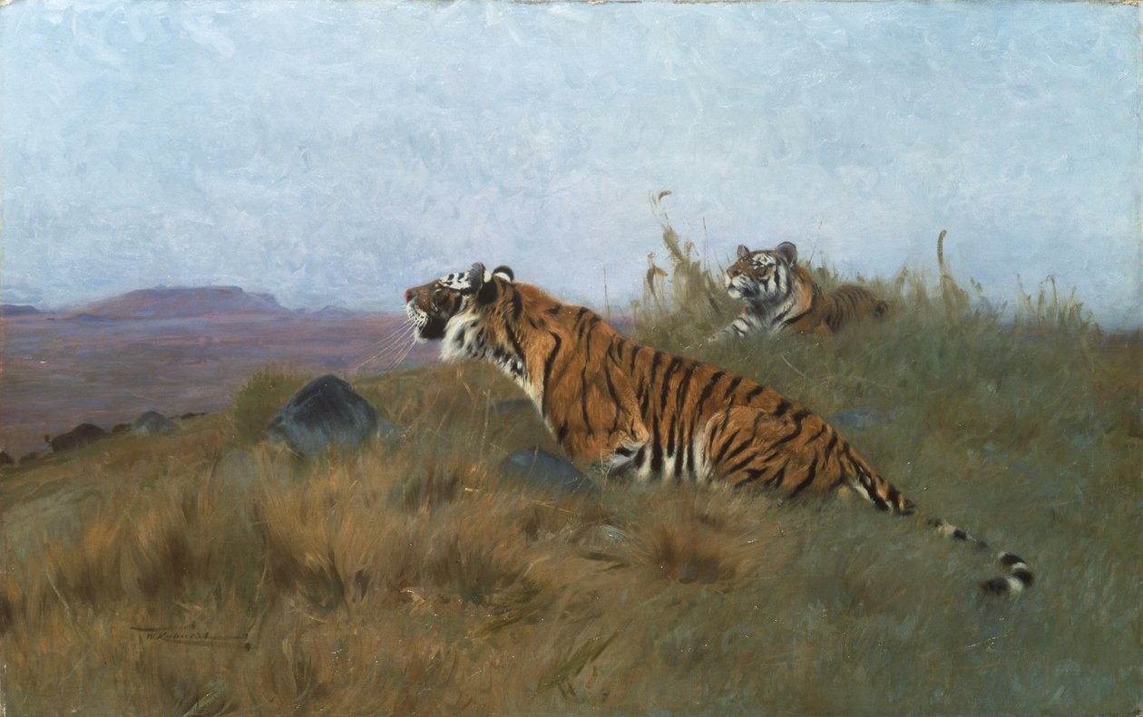 Tigres traquant leur proie - Wilhelm Kuhnert
