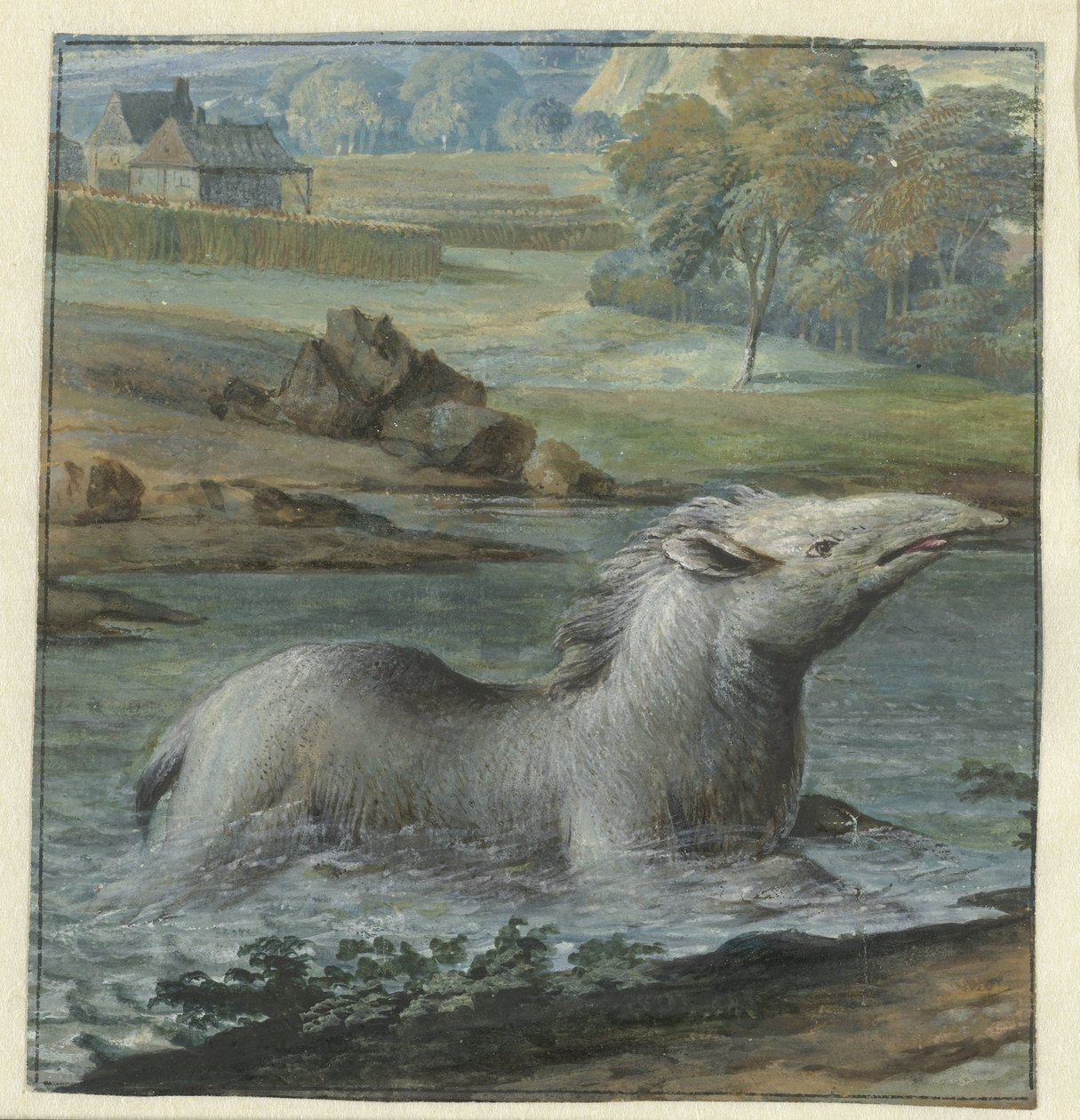 Tapir dans l