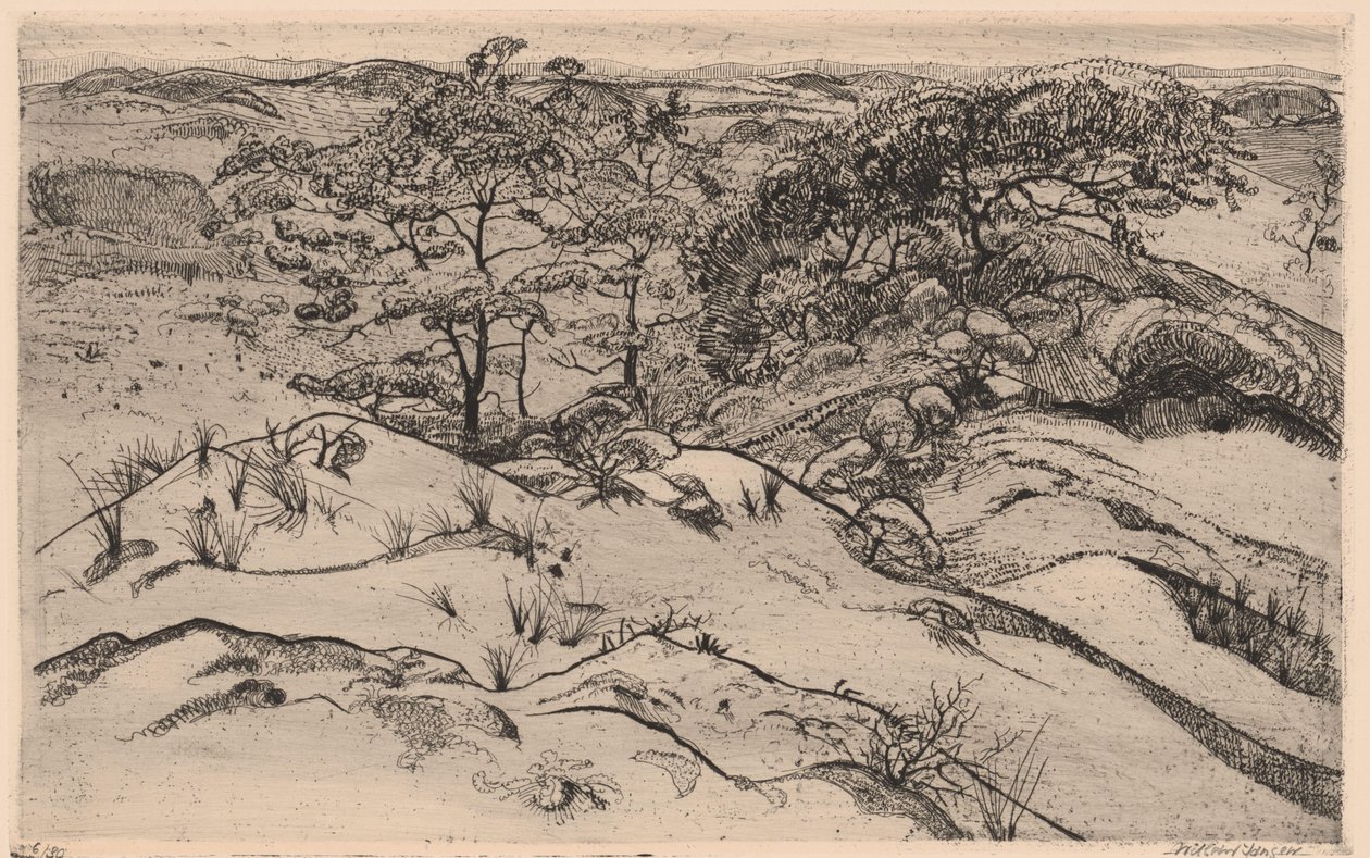 Paysage de dunes - Willem Jansen (graveur) (signed by artist)