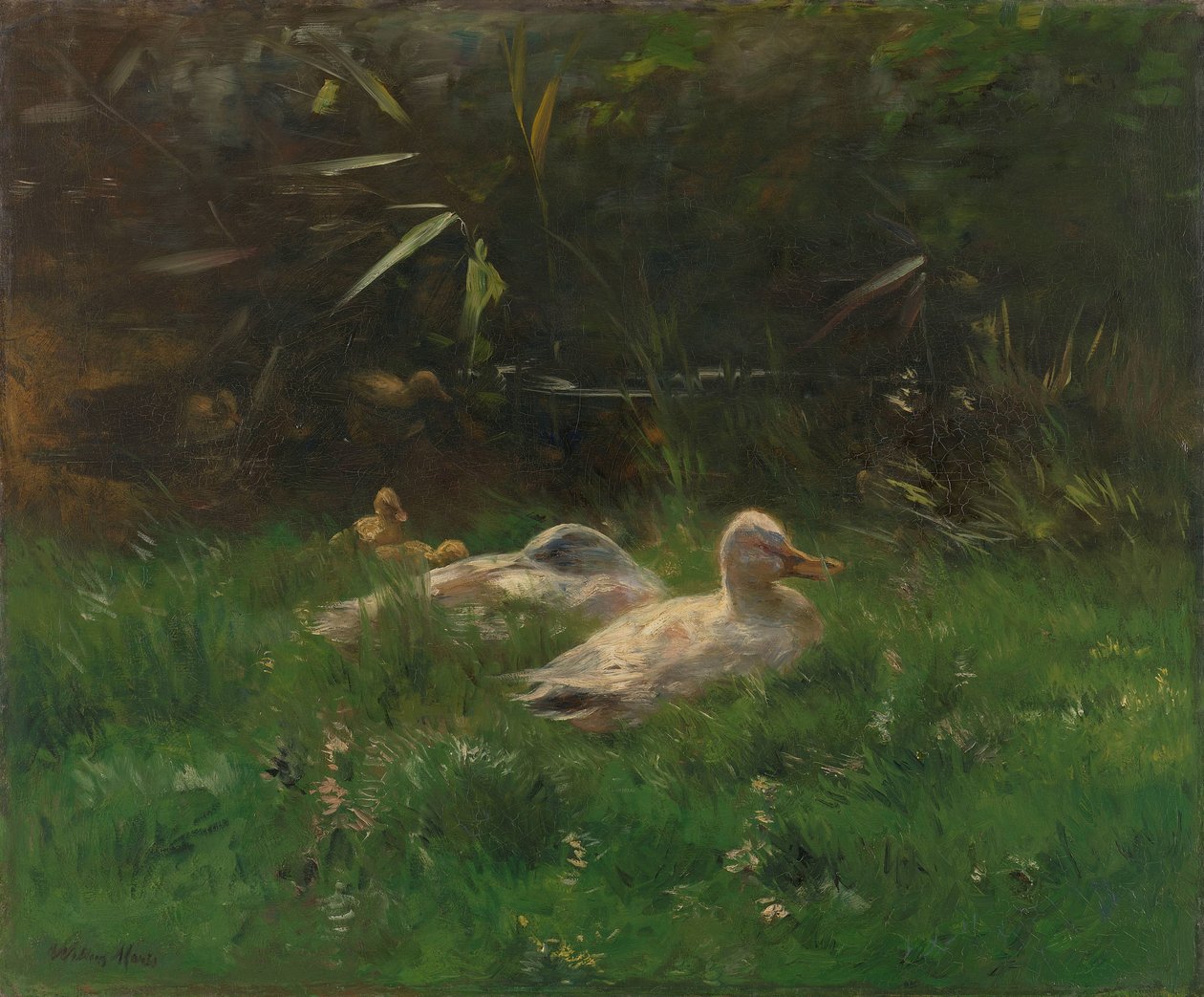 Canards - Willem Maris