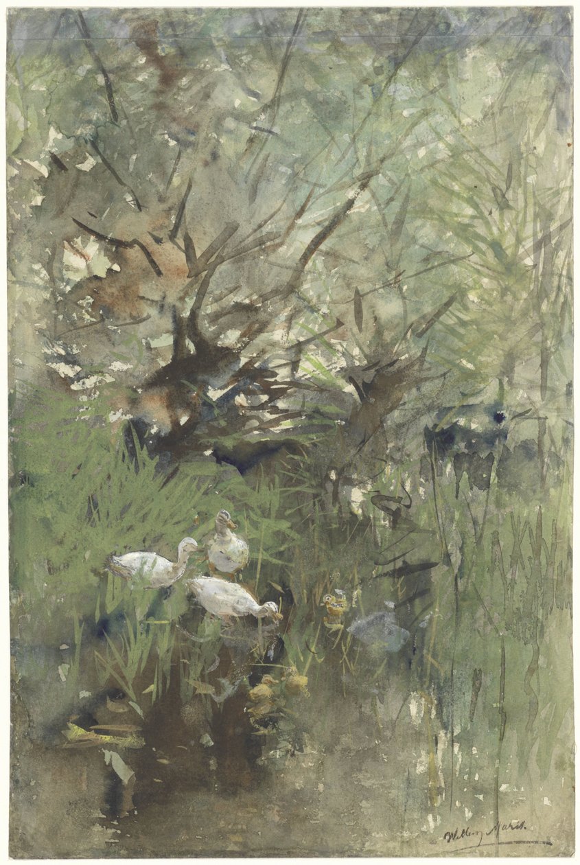 Canards sous des saules - Willem Maris