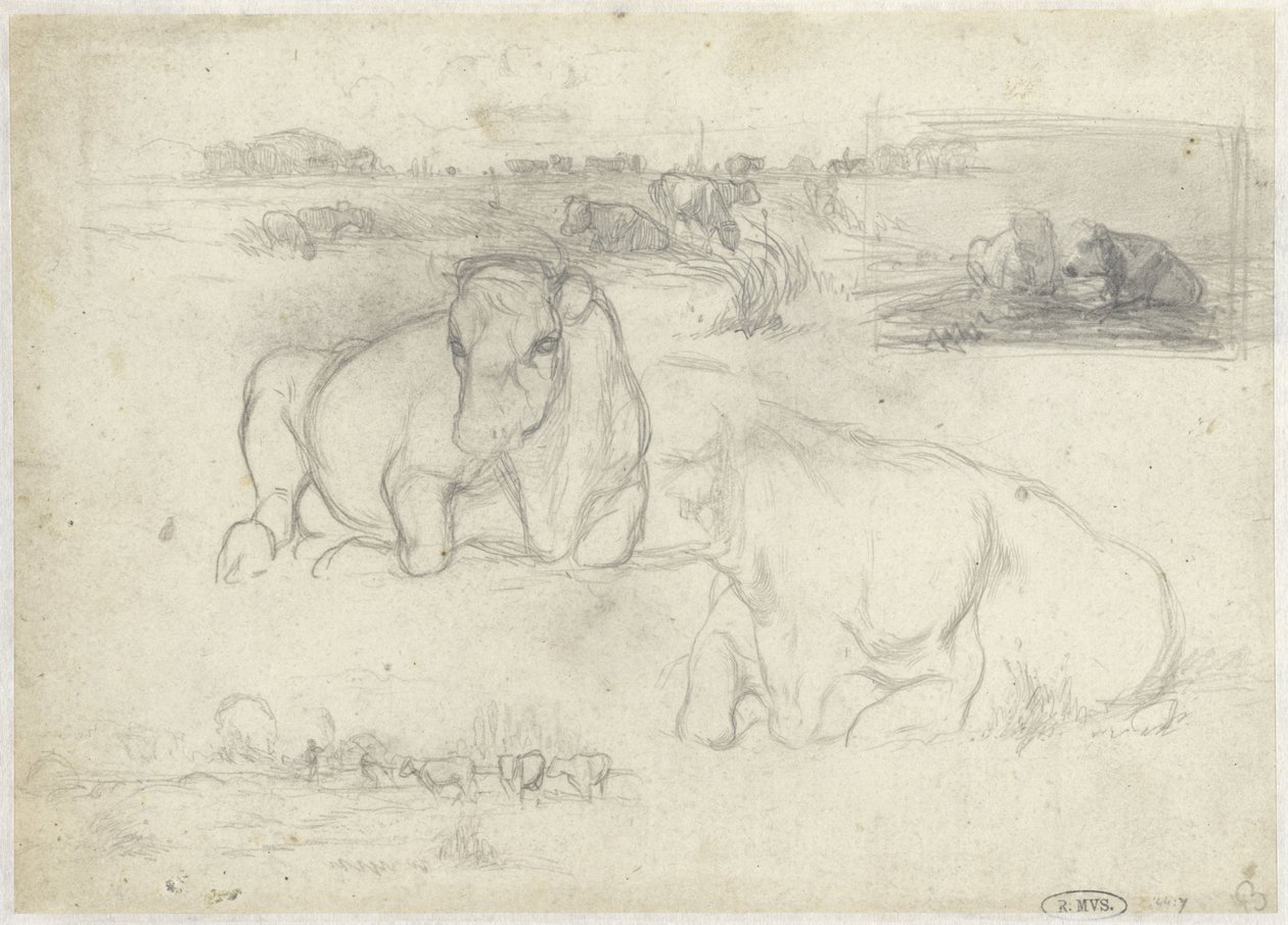 Esquisses de vaches - Willem Maris