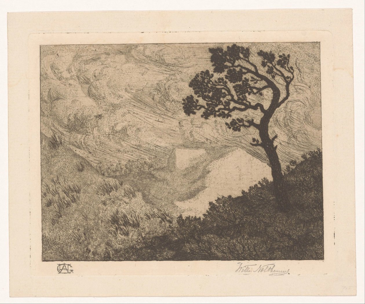 Arbre dans un paysage vallonné - Willem Nolthenius (signed by artist)