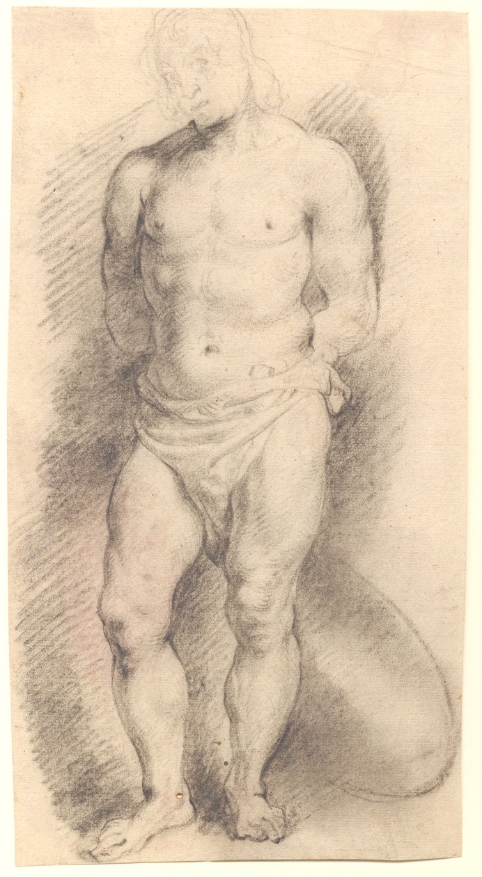 Vue de face d