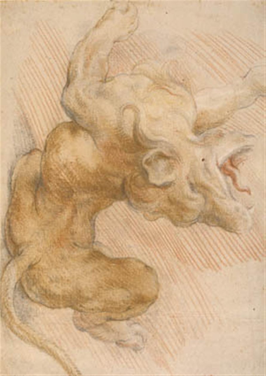 Samson brisant la mâchoire du lion. Le lion - Willem Panneels