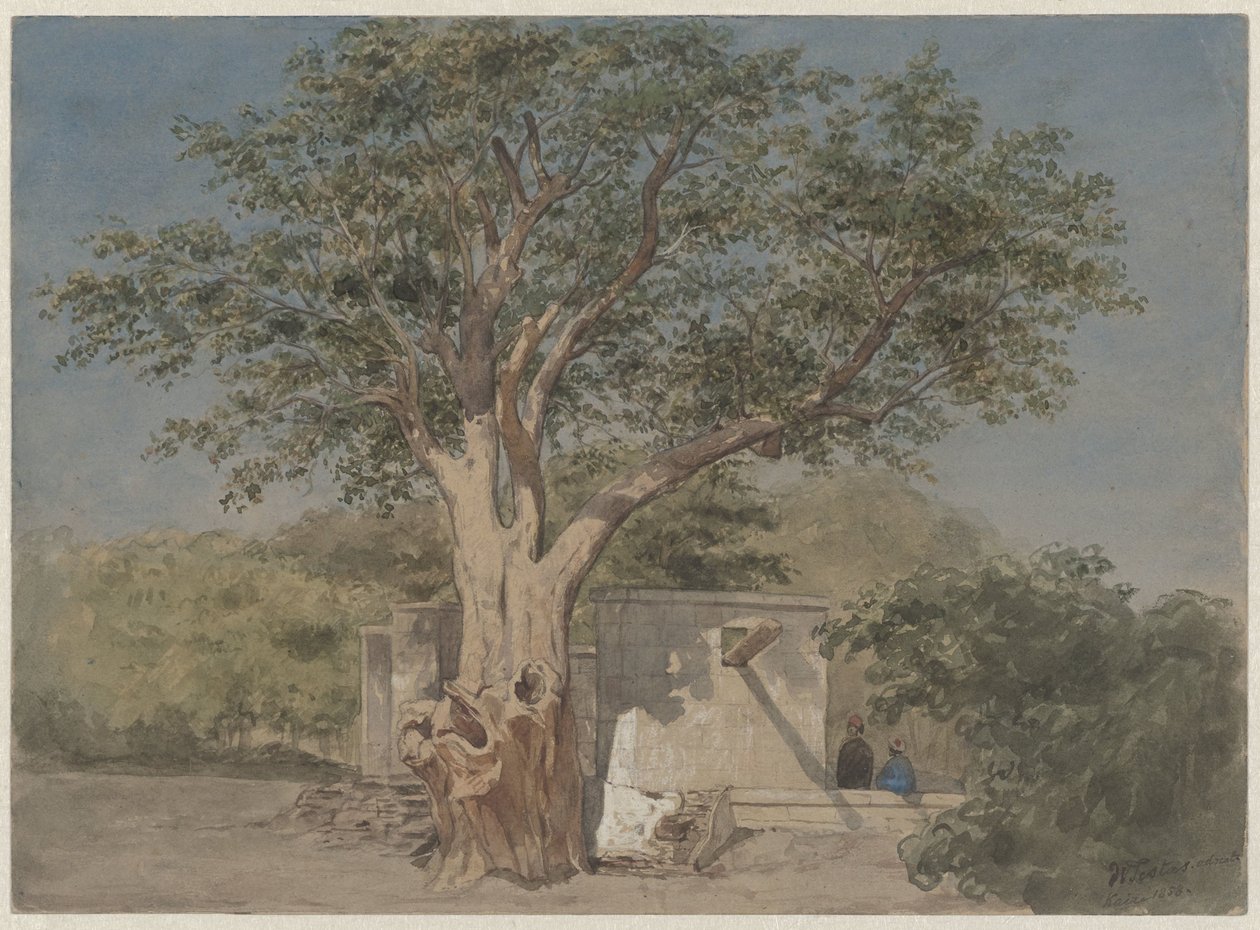 Cabane sous un arbre au Caire - Willem de Famars Testas