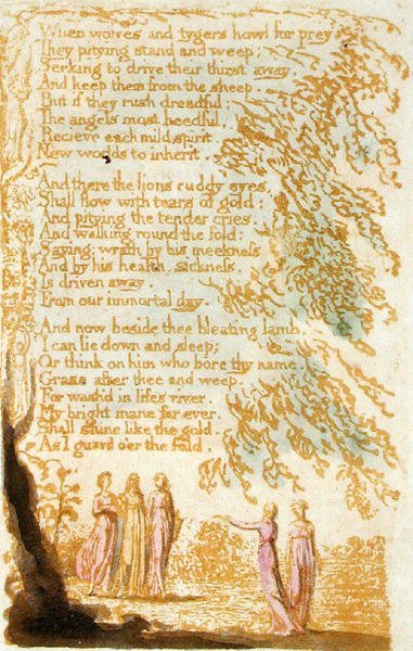 Quand les loups et les tigres hurlent..., planche 17 de Songs of Innocence, 1789 - William Blake