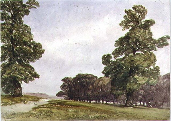 Vue à Hyde Park - William Callow
