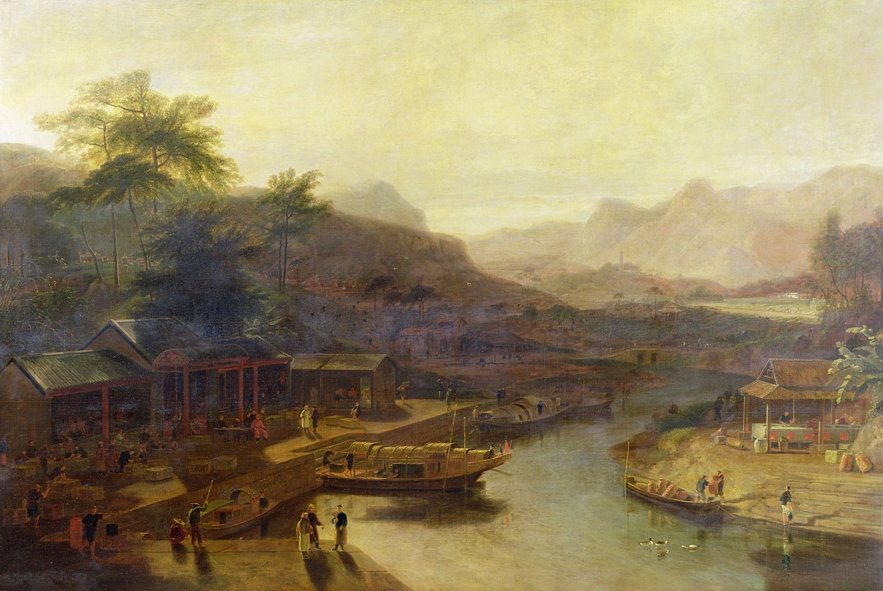 Vue en Chine : Culture du thé, vers 1810 - William Daniell