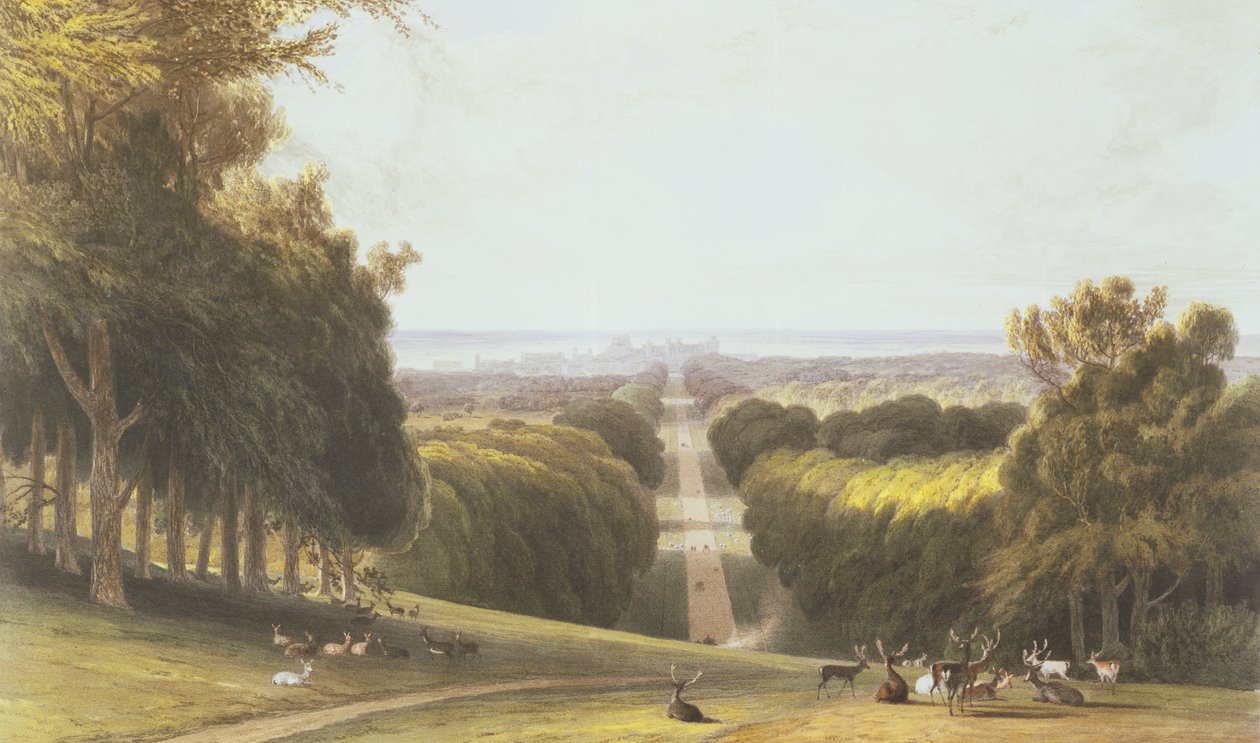 La Longue Promenade, Windsor Park, d