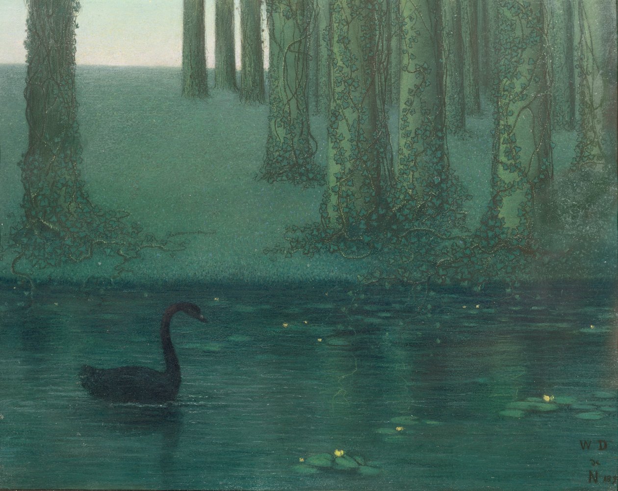 Le Cygne noir, 1896 - William Degouve de Nuncques