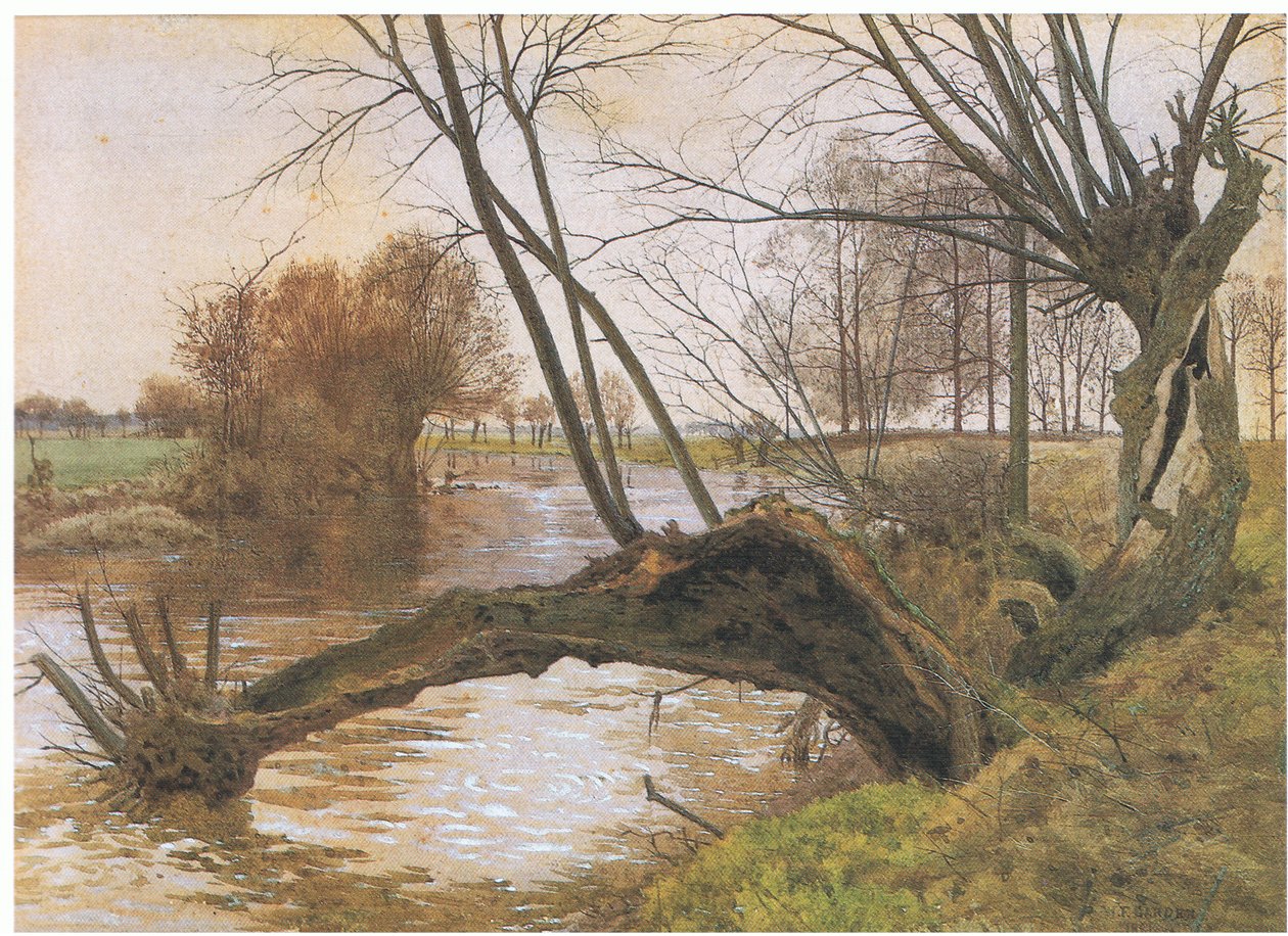 Saules sur l