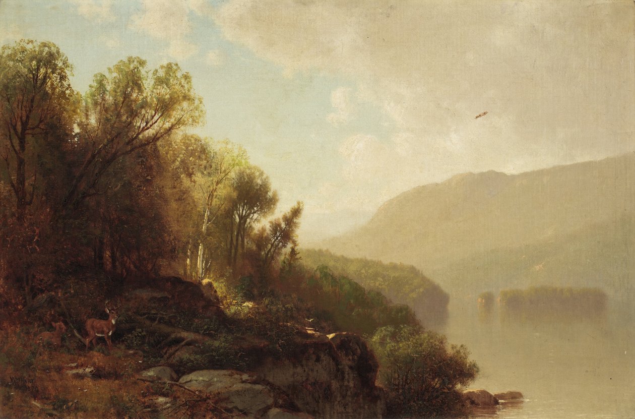 Dans les Adirondacks, 1870 - William Hart