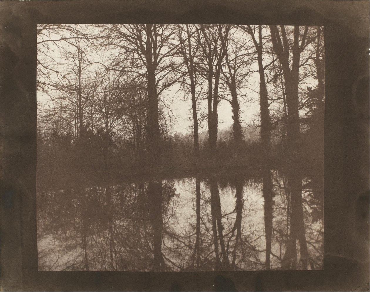 Arbres et reflets - William Henry Fox Talbot