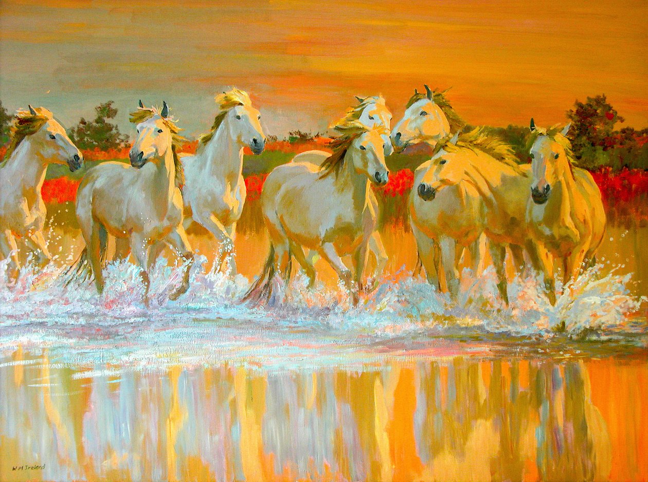 Camargue - William Ireland