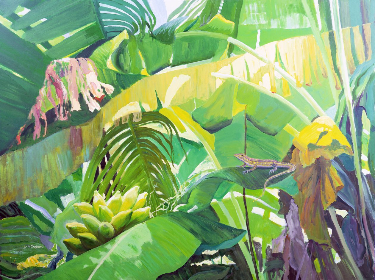 Gekko - William Ireland