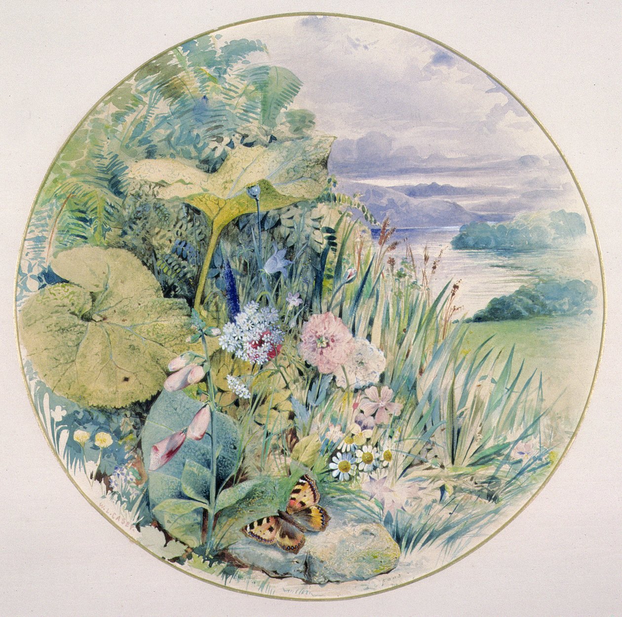 Fleurs sauvages et végétation, dans une région des lacs - William Linnaeus Casey