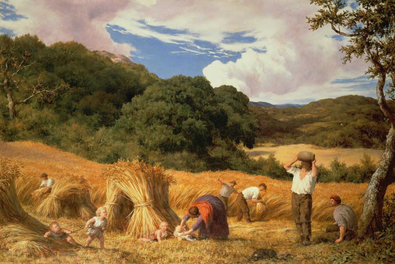Champ de blé dans le Surrey, 1860 - William Linnell