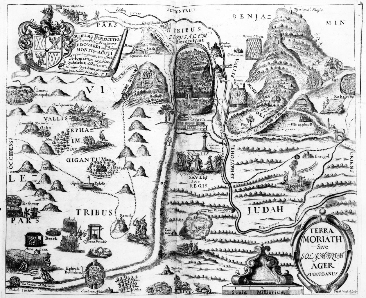 Carte d