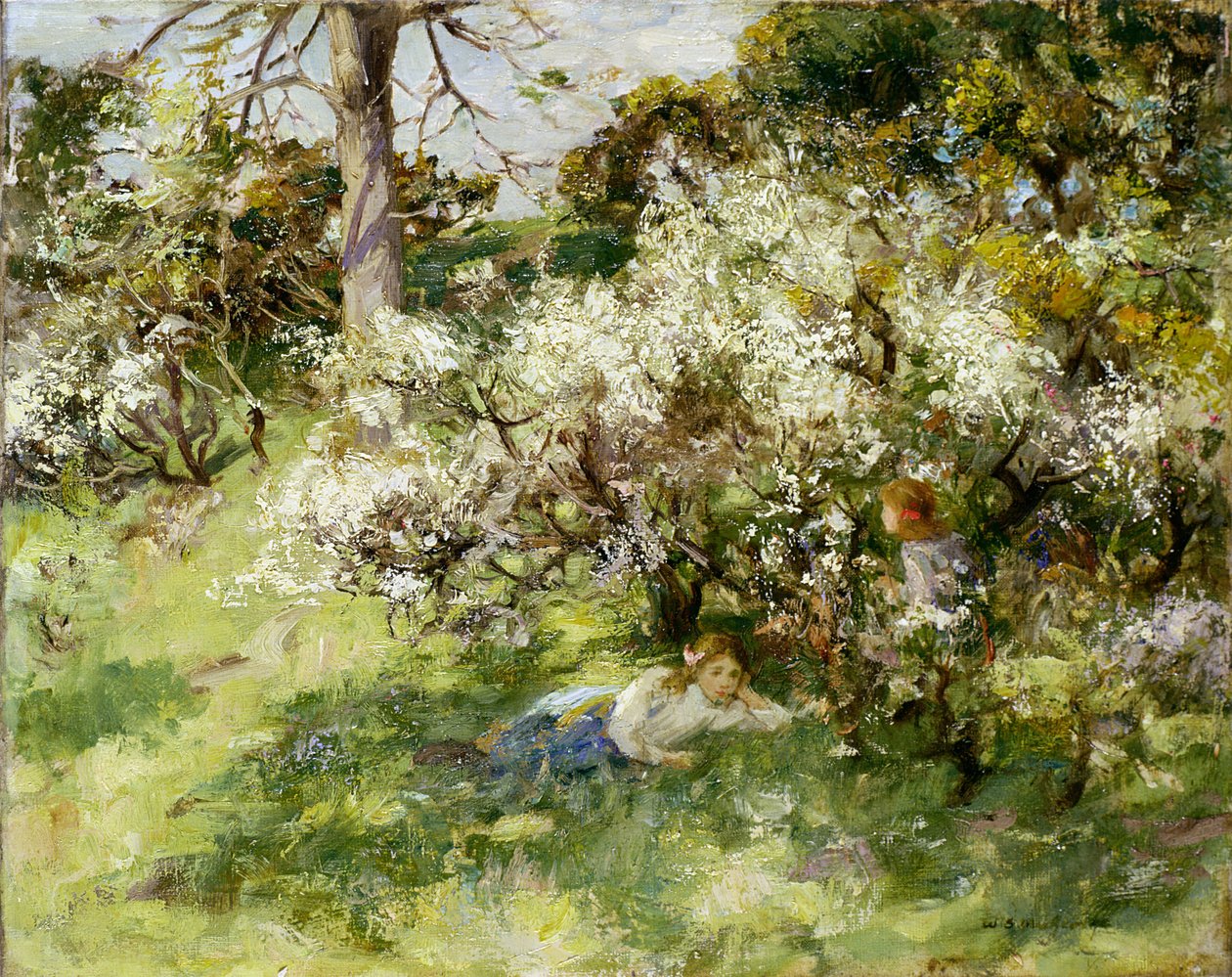 Fleur de prunellier - William Stewart MacGeorge