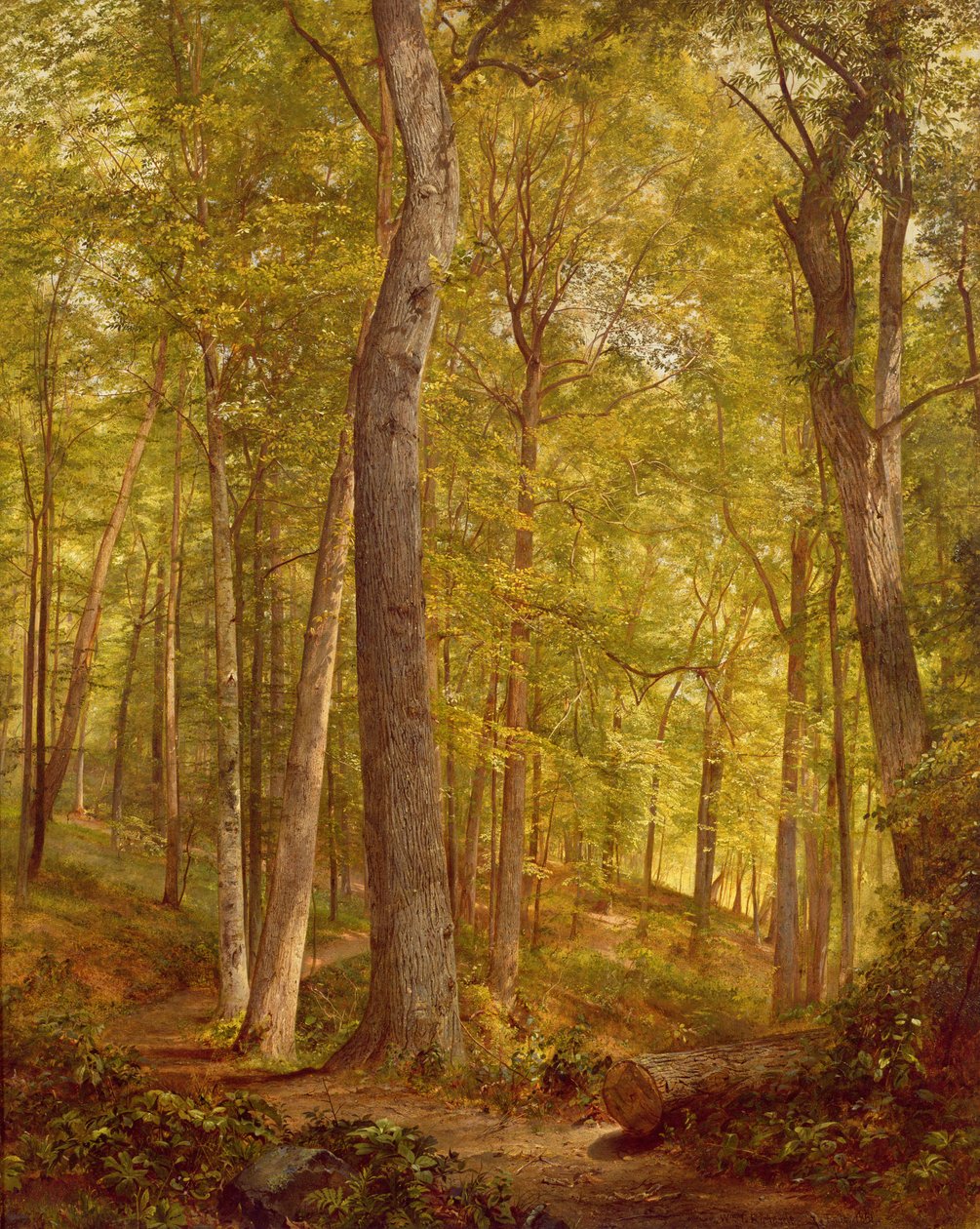 Bois de juin, Pennsylvanie, 1864 - William Trost Richards