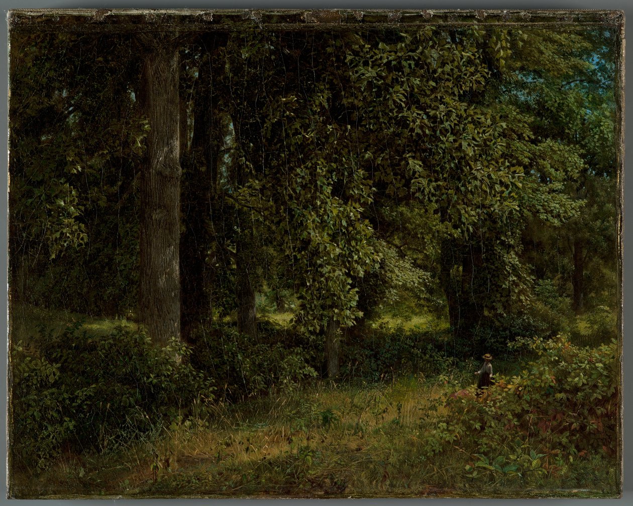 Tulipiers, 1859 - William Trost Richards