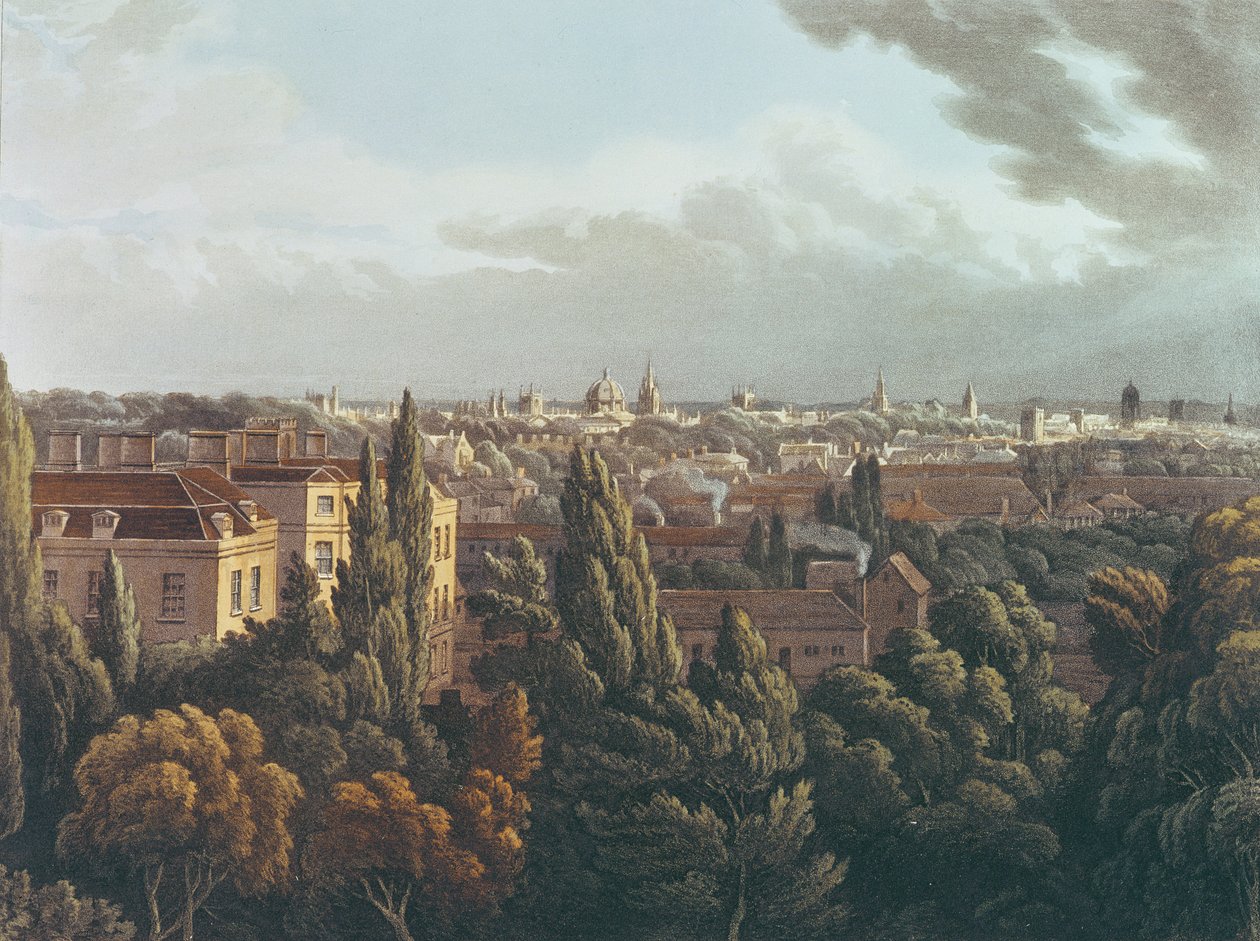 Vue d