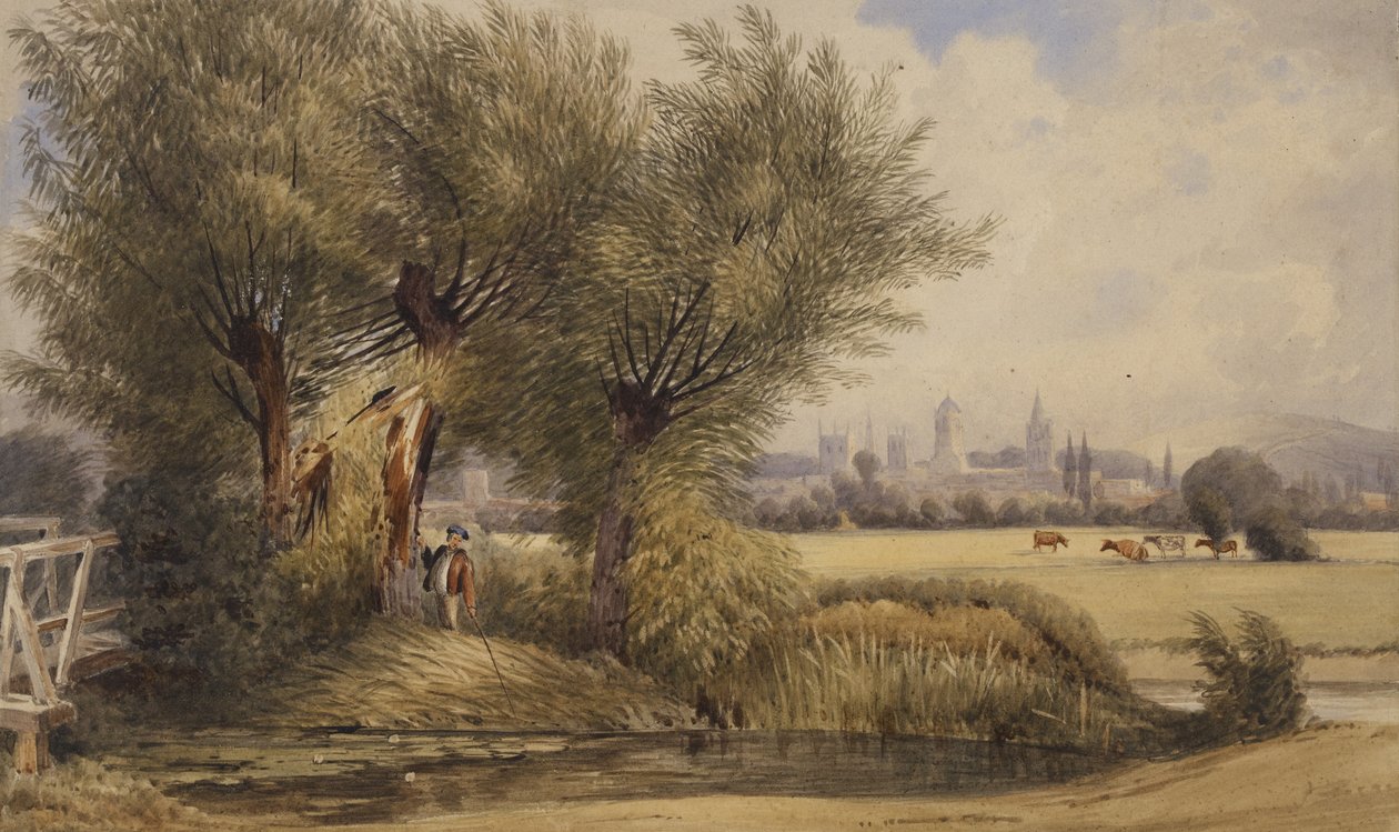 Vue d