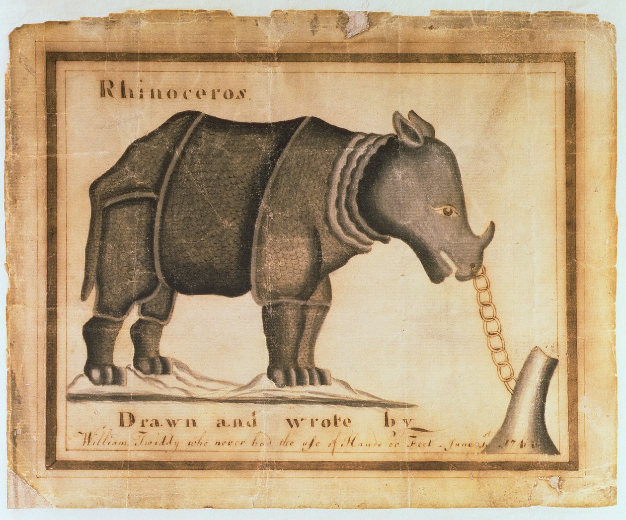 Rhinocéros, dessiné et écrit par William Twiddy qui n