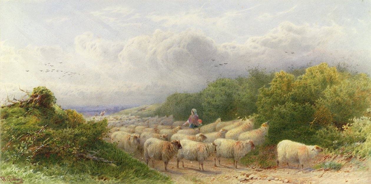 Moutons sur les Downs - William W. Gosling