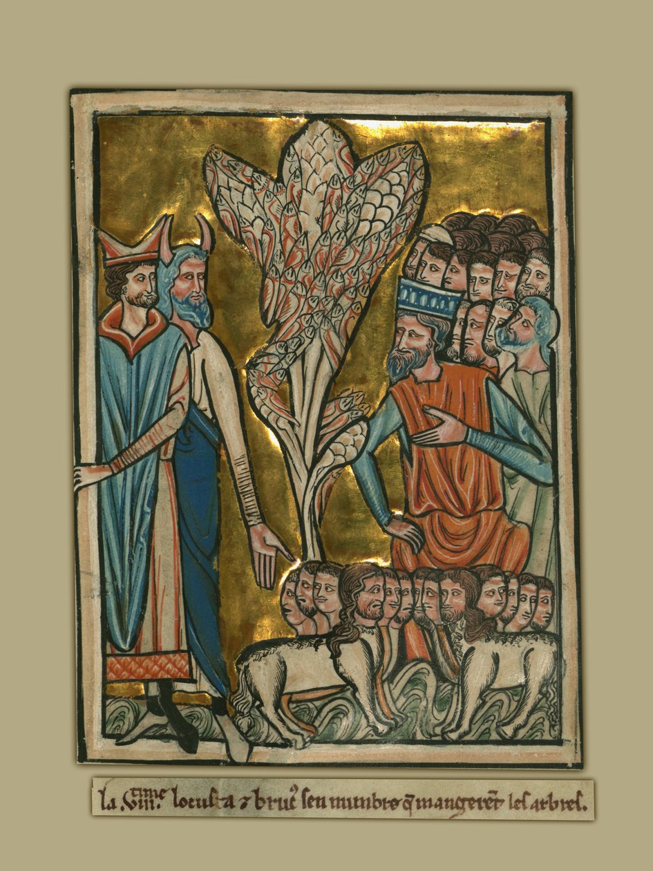La huitième plaie : Les sauterelles - William de Brailes  