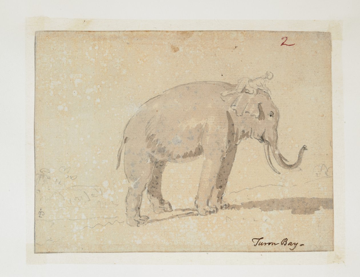 WD 961 f.2 - William Alexander