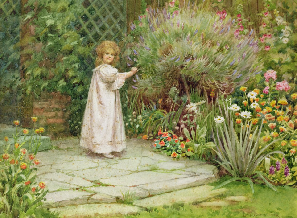 Mon jardin - William Ashburner