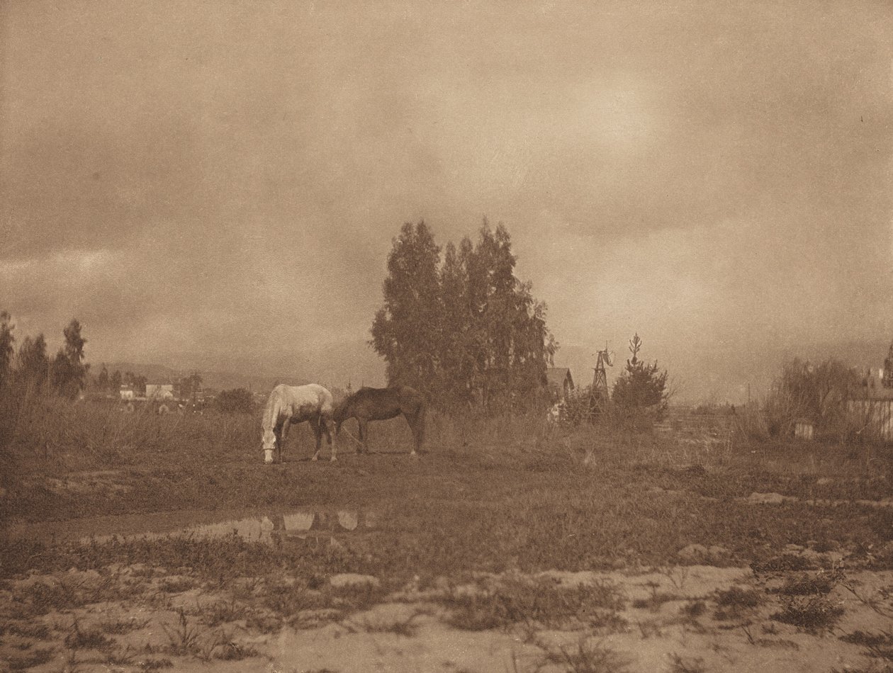 Paysage de Pasadena - William B. Post