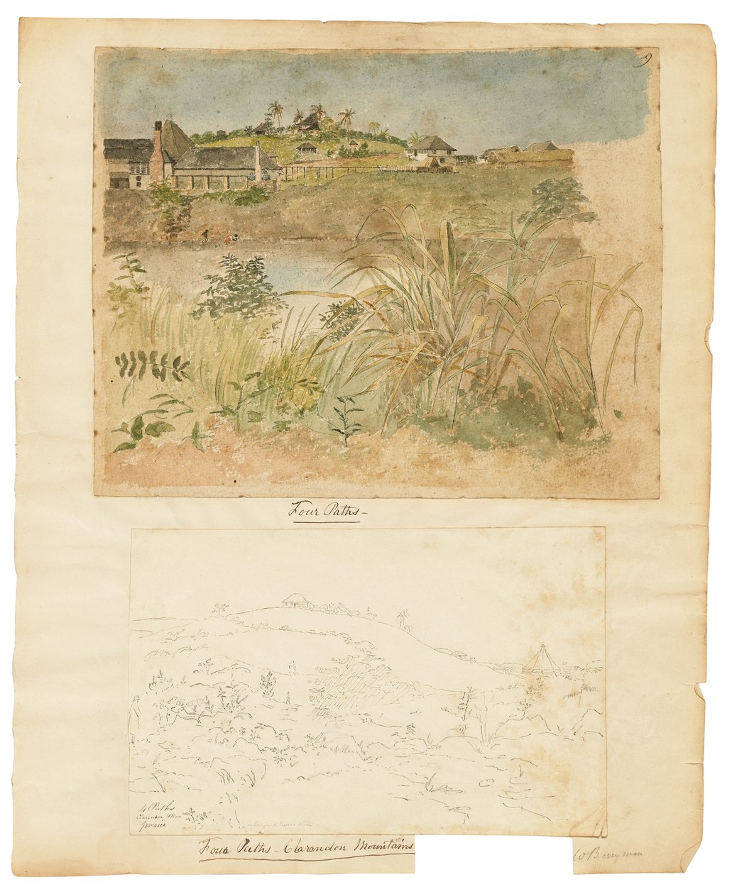 Quatre Chemins, Montagnes de Clarendon, Jamaïque - William Berryman