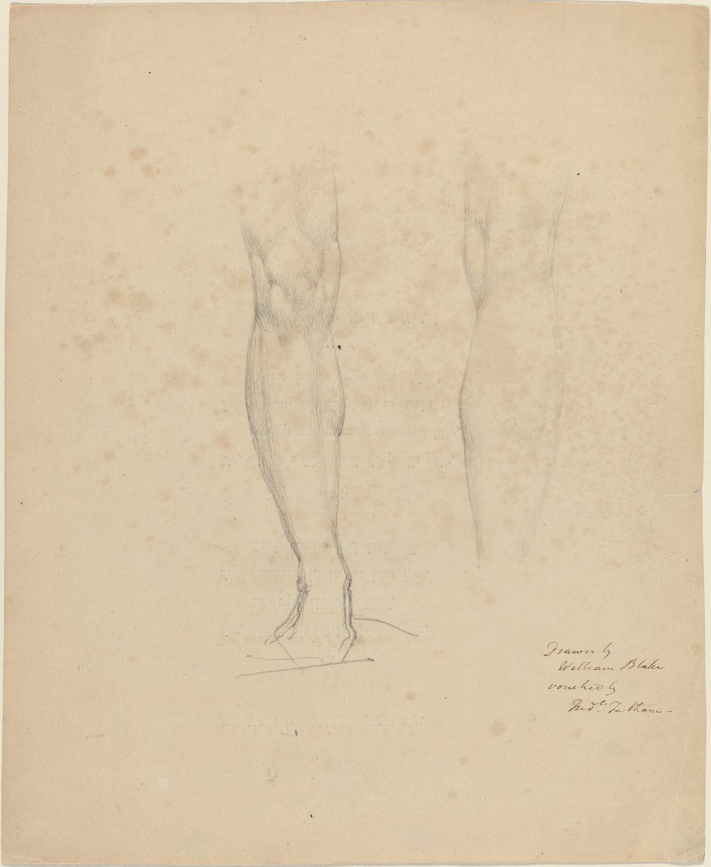 Deux jambes - William Blake