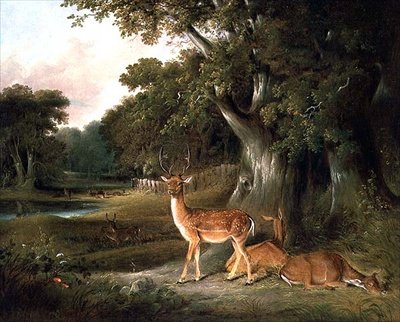 Cerfs dans un paysage boisé - William Daniell