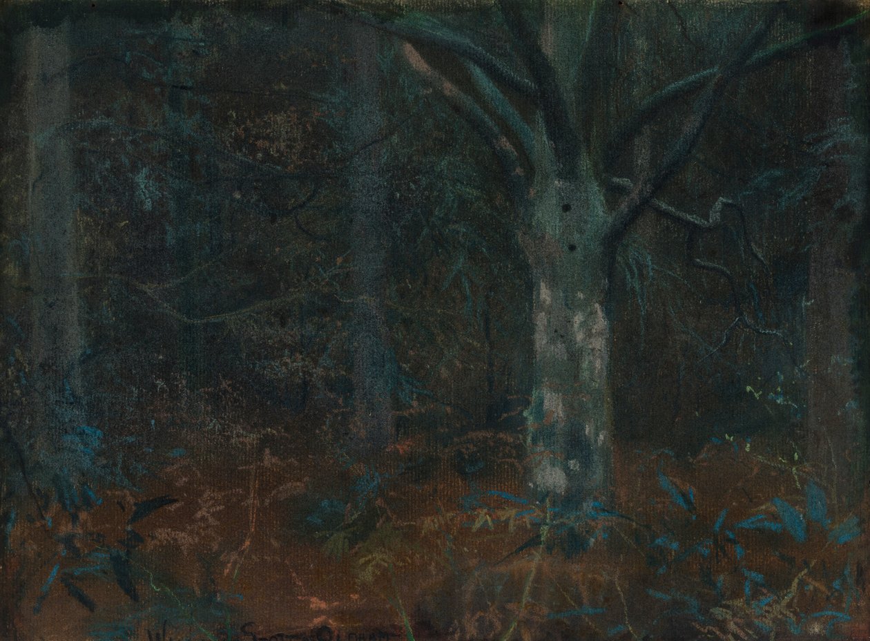 Vieux sycomore - William Edward Stott