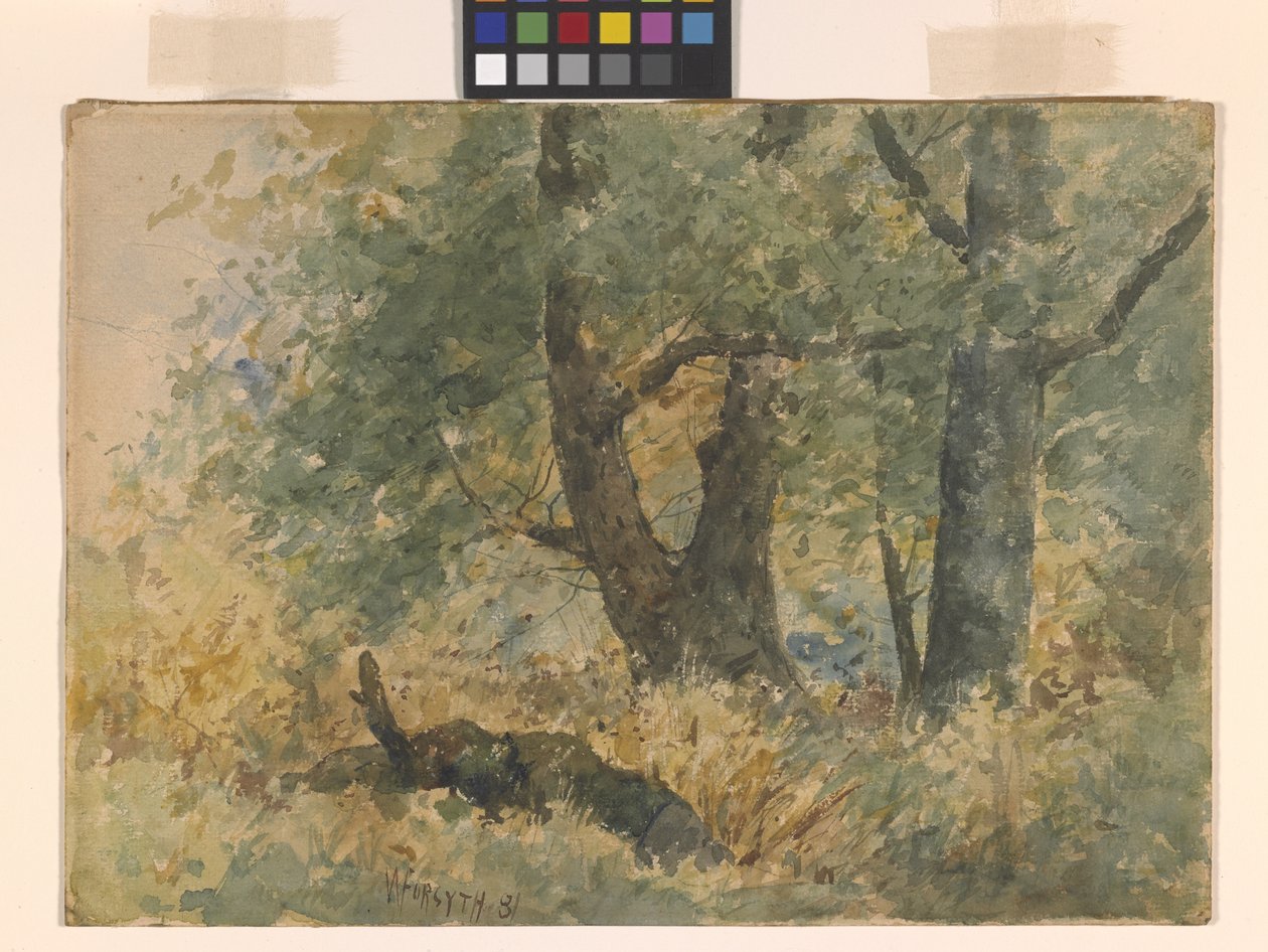 Paysage forestier - William Forsyth