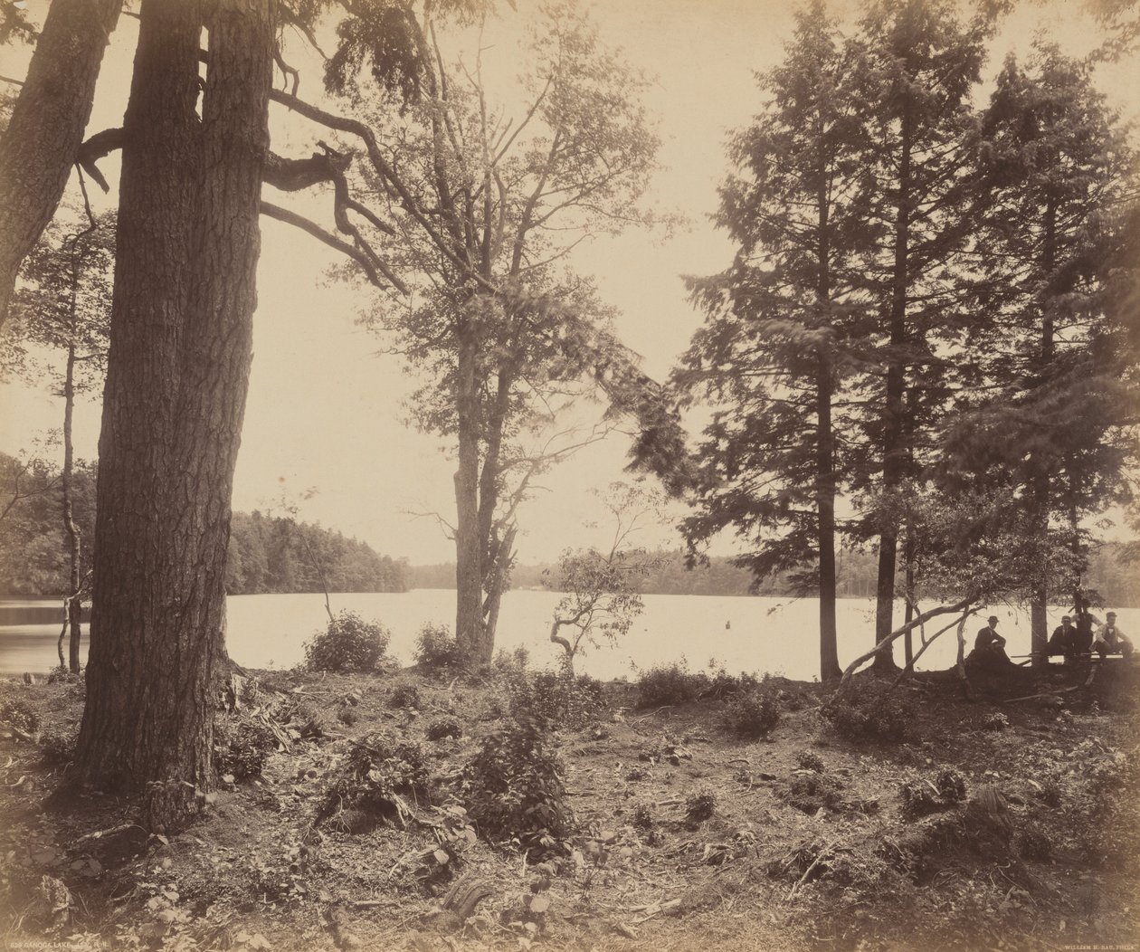 Lac Ganoga - William H. Rau