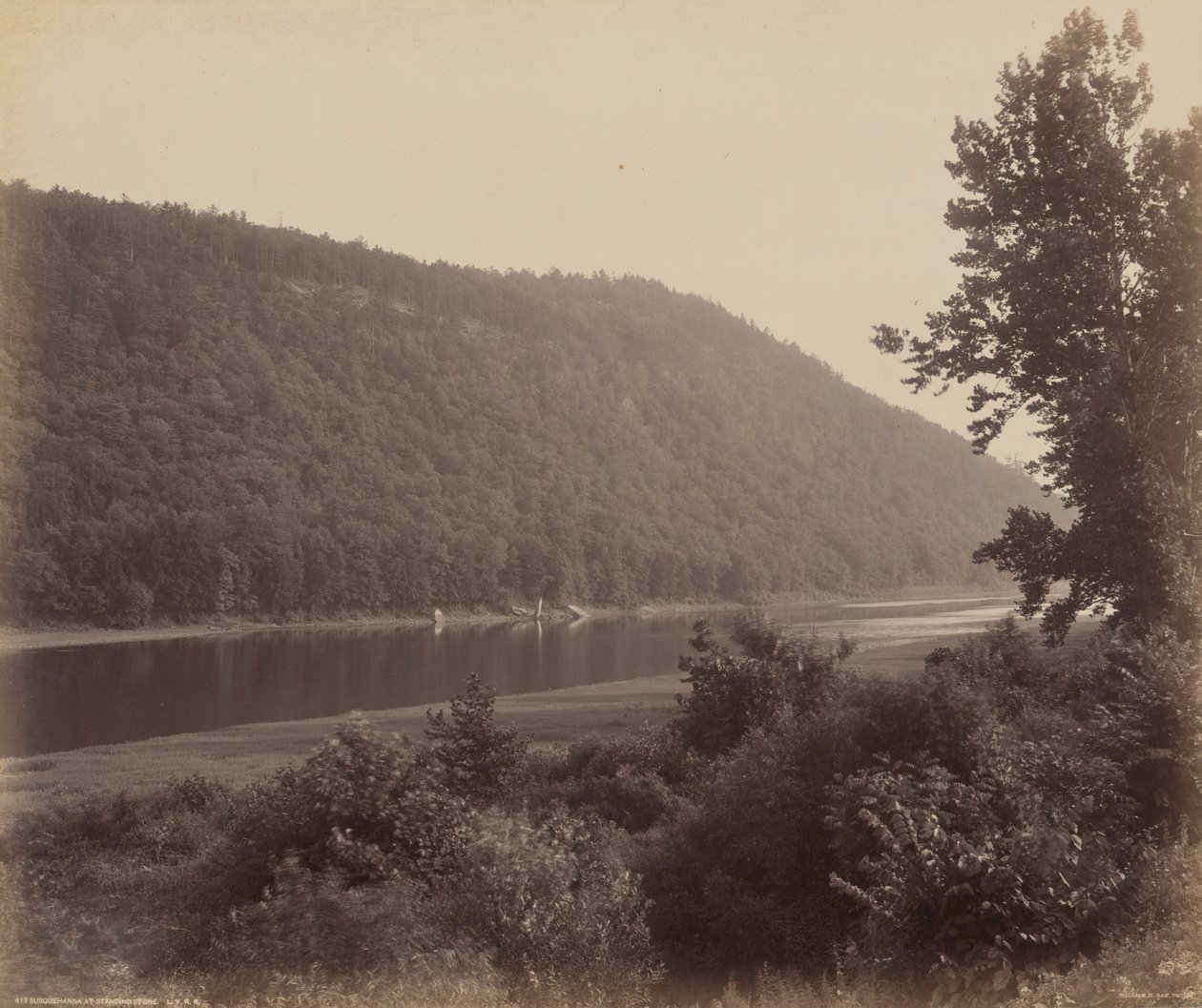 Susquehanna à Standing Stone - William H. Rau