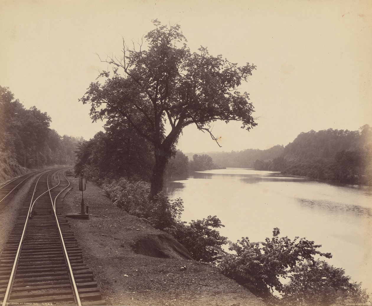 Le Lehigh, à Turkey Run - William H. Rau