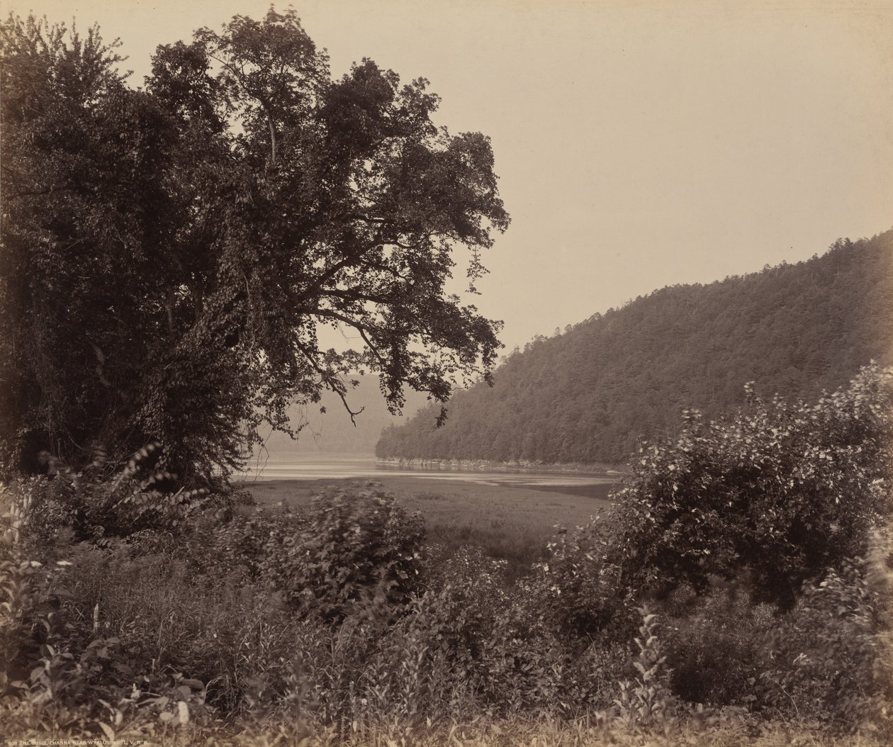 La Susquehanna près de Wyalusing - William H. Rau