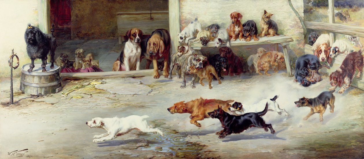 Poursuite chaude, 1894 - William Henry Hamilton Trood