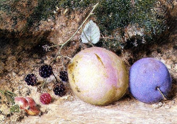 Cynorrhodons, mûres et prunes - William Henry Hunt