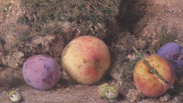 Nature Morte - William Henry Hunt