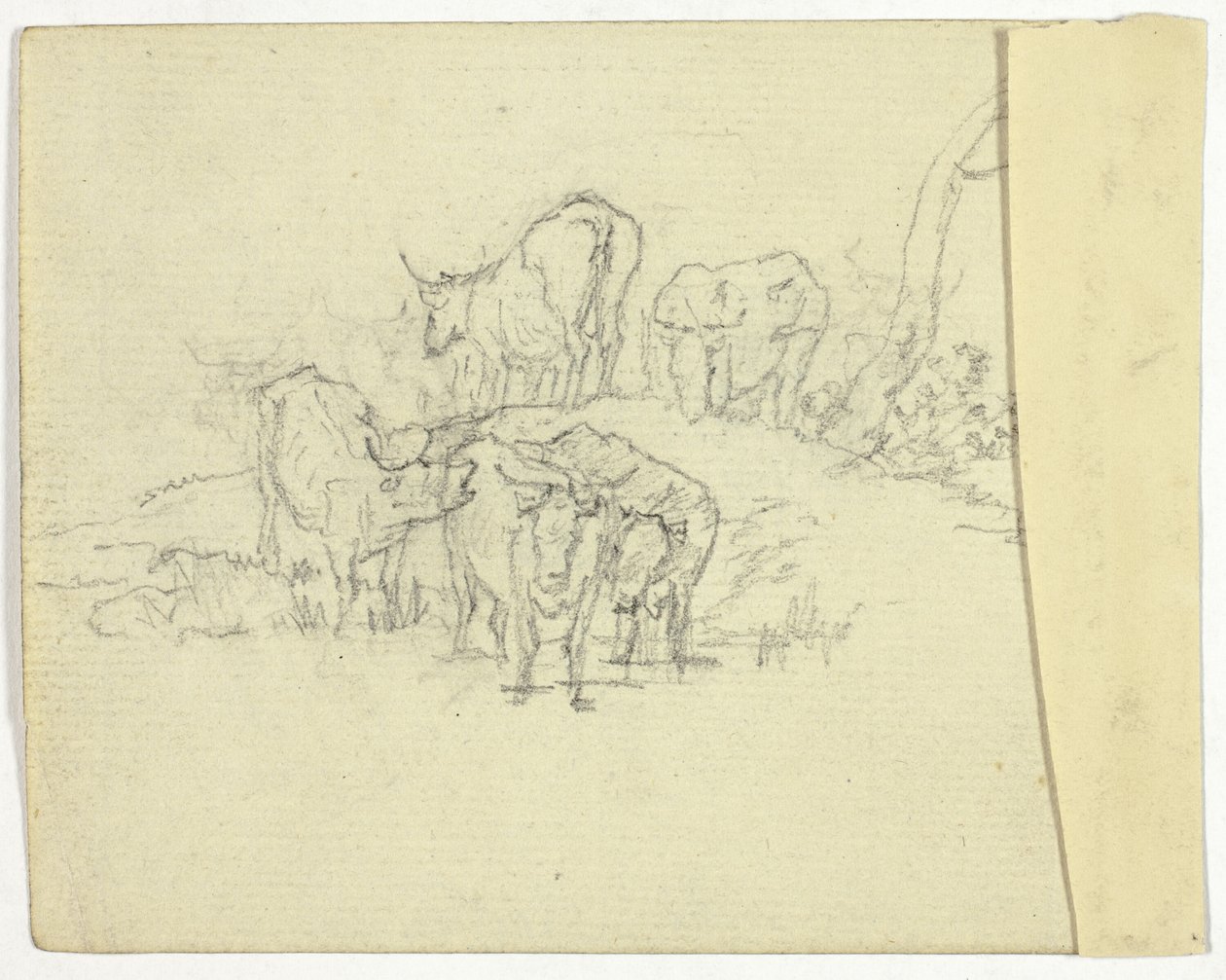 Bétail (recto); Le Charlatan (verso) - William Henry Pyne