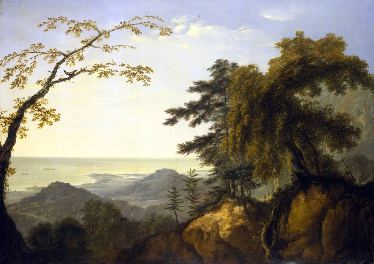 Vue de l