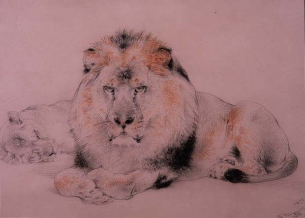 Lion et lionne - William Huggins